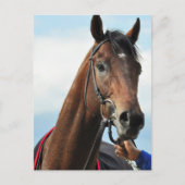 aufgelöst postkarte (Vorderseite)