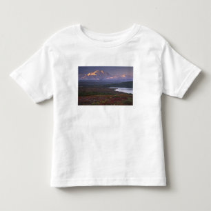 Aufgenommen Anfang September im Denali-Nationalpar Kleinkind T-shirt