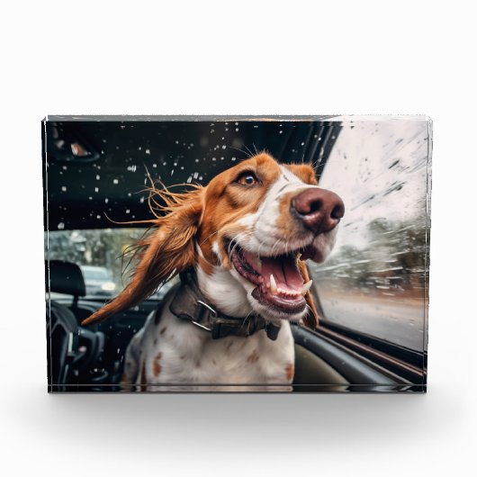 Aufgeregter Hund auf Rainy Car Ride Art Print Fotoblock (Vorderseite)