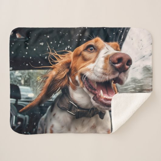 Aufgeregter Hund auf Rainy Car Ride Art Print Sherpadecke (Vorderseite (Horizontal))