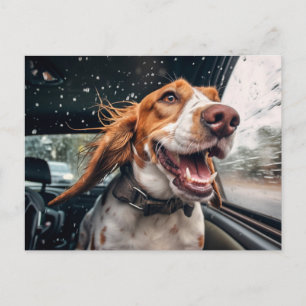 Aufgeregter Hund auf regnerischer Autofahrt Kunstp Postkarte