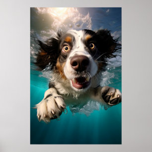 Aufgeregter Hund Schwimmt Unterwasser Design Poster