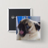 aufgeregtes puggo Button (Vorne & Hinten)