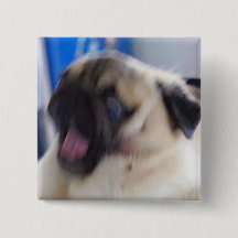 aufgeregtes puggo Button