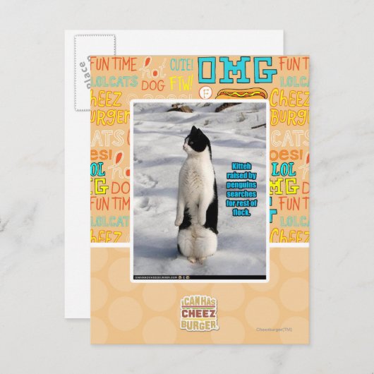 Aufgewachsen von Pinguinen Postkarte (Vorne/Hinten)