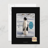 Aufgewachsen von Pinguinen Postkarte (Vorne/Hinten)