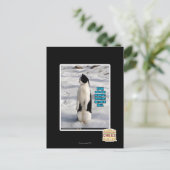 Aufgewachsen von Pinguinen Postkarte (Stehend Vorderseite)