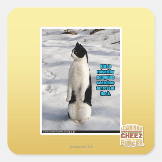 Aufgewachsen von Pinguinen Quadratischer Aufkleber (Vorderseite)