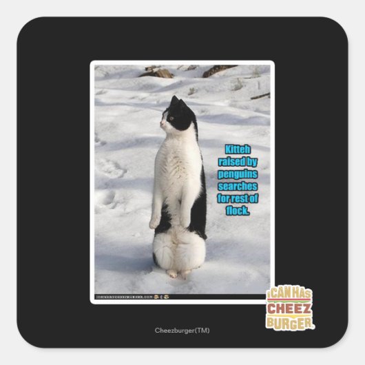 Aufgewachsen von Pinguinen Quadratischer Aufkleber (Vorderseite)