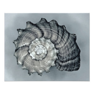 aufgewühlt fotodruck