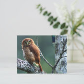 aufkeimen postkarte (Stehend Vorderseite)