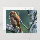 aufkeimen postkarte (Vorne/Hinten)