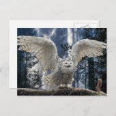 aufkeimen postkarte (Vorne/Hinten)