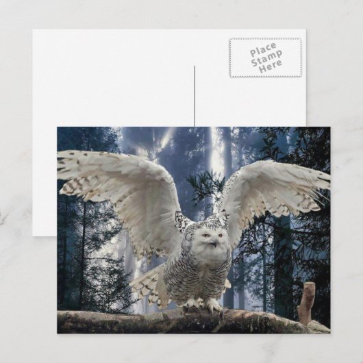 aufkeimen postkarte (Vorne/Hinten)