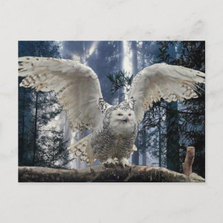 aufkeimen postkarte