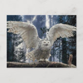 aufkeimen postkarte (Vorderseite)