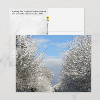 Aufklarender Himmel und Rückenwind, NYC - Postkarte