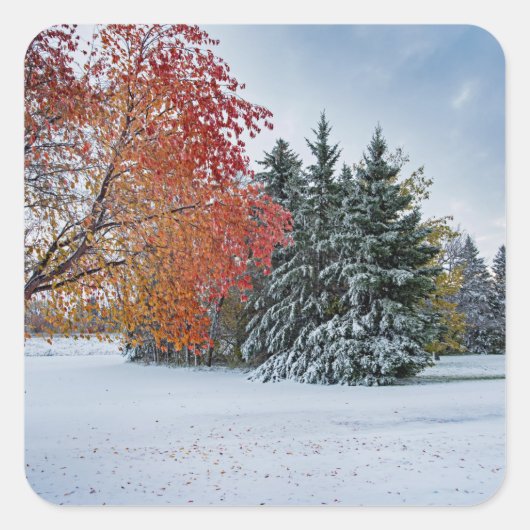 Aufkleber (Vorderseite)