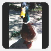 Aufkleber (Vorderseite)