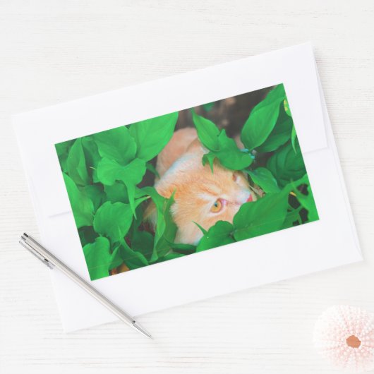 Aufkleber (Umschlag)