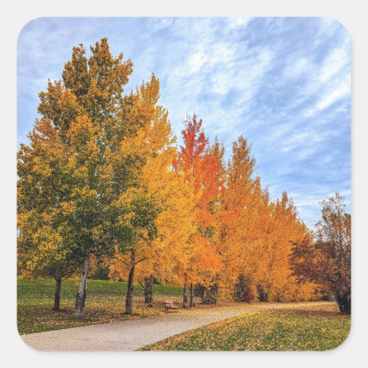 Aufkleber (Vorderseite)