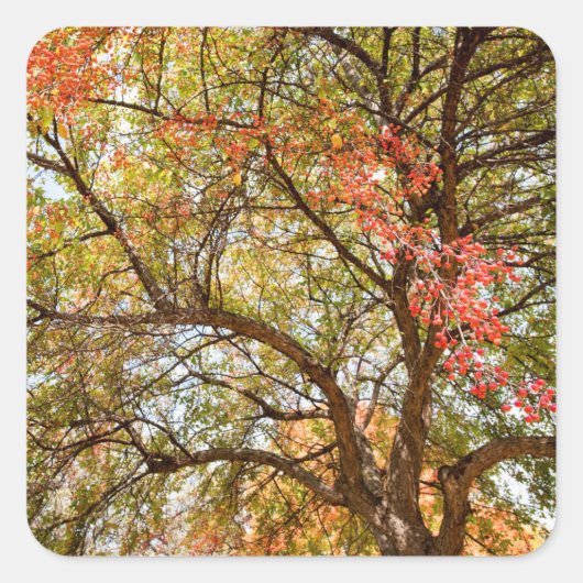 Aufkleber (Vorderseite)