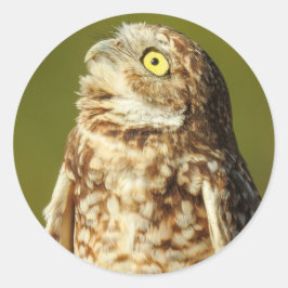 Aufkleber