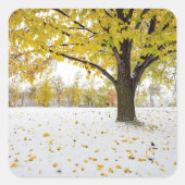 Aufkleber (Vorderseite)