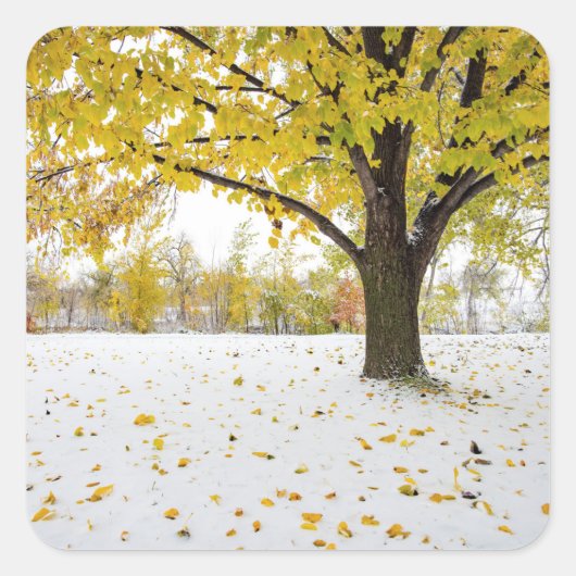 Aufkleber (Vorderseite)