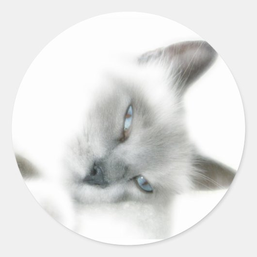 Aufkleber (Vorderseite)