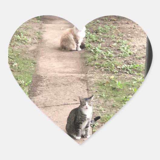 Aufkleber (Vorderseite)