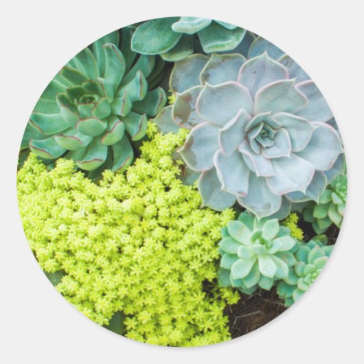 Aufkleber (Vorderseite)