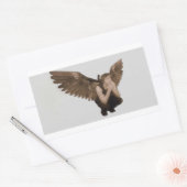 Aufkleber (Umschlag)