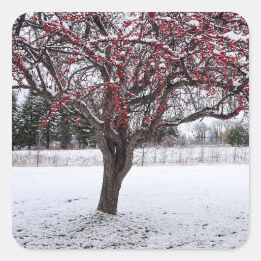 Aufkleber (Vorderseite)