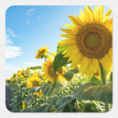 Aufkleber (Vorderseite)