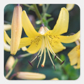 Aufkleber (Vorderseite)