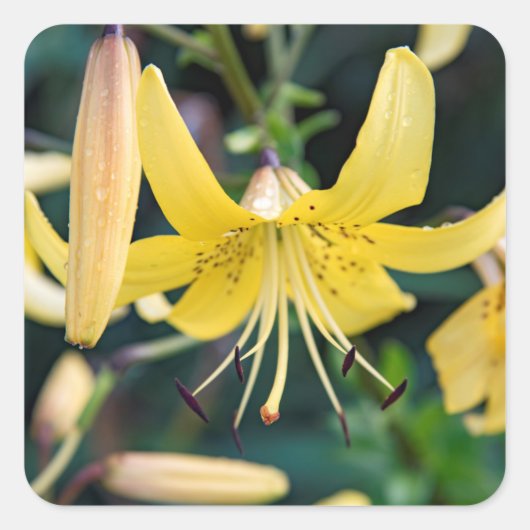 Aufkleber (Vorderseite)