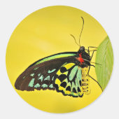 Aufkleber (Vorderseite)