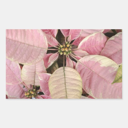 Aufkleber (Vorderseite)