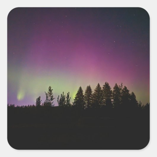 Aufkleber (Vorderseite)