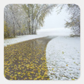 Aufkleber (Vorderseite)