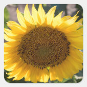 Aufkleber (Vorderseite)