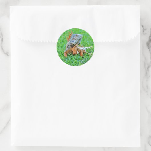 Aufkleber (Tasche)