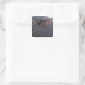 Aufkleber (Tasche)