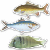 Aufkleber (Vorderseite)