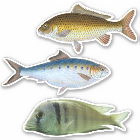 Aufkleber (Vorderseite)