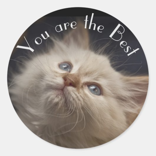 Aufkleber (Vorderseite)