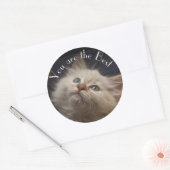 Aufkleber (Umschlag)