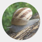 Aufkleber (Vorderseite)