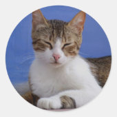 Aufkleber (Vorderseite)